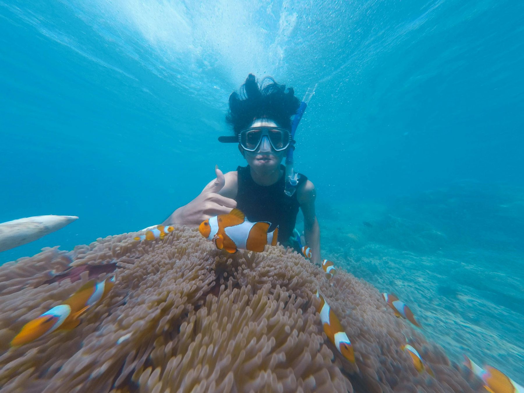 Schnorcheln in Bahamas